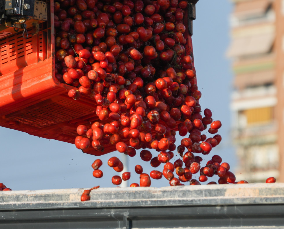 La Tomatina