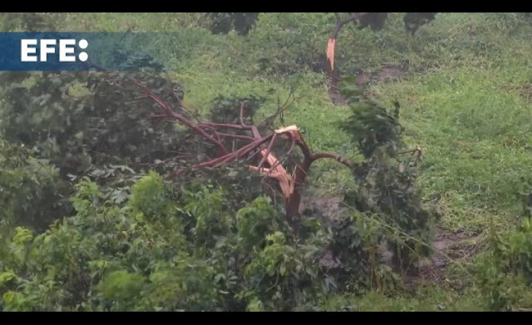 El tifón Yagi deja dos muertos y un centenar de heridos en el sur de China