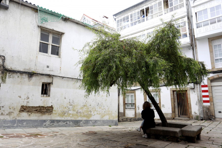 El árbol judío que acompaña a la sinagoga de A Coruña desde hace al menos un siglo