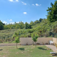 Finca11 2022