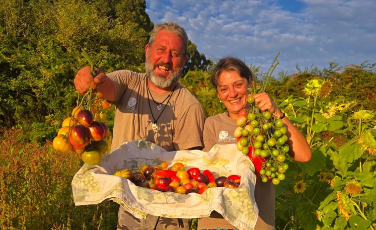 El éxito de Lúa de Dexo: de montar térmicas a cultivar en Oleiros los tomates más agraciados de España