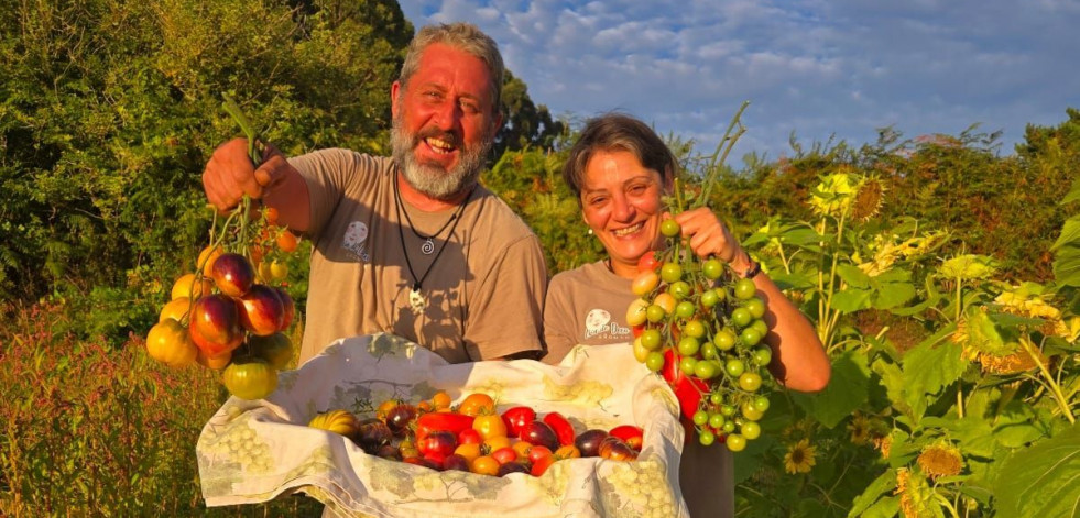 El éxito de Lúa de Dexo: de montar térmicas a cultivar en Oleiros los tomates más agraciados de España