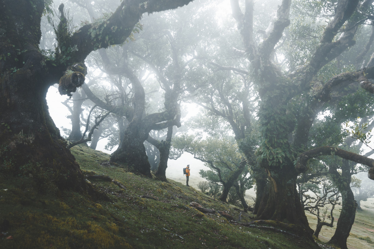 Una imagen realizada en Madeira por Au0301lvaro Valiente 