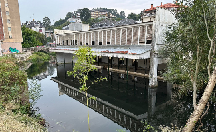 Con sacos, carteles y comunicación a la central del Zarzo: así trataron de evitar los daños de las ‘lagarteiras’ en Betanzos