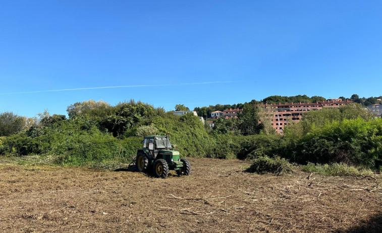 Comienzan los desbroces por vía subsidiaria: el Ayuntamiento de Betanzos interviene en Los Ángeles