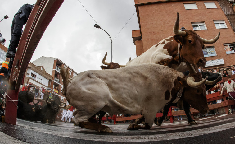 Un muerto y dos adultos y una niña heridos tras escaparse un toro de un encierro