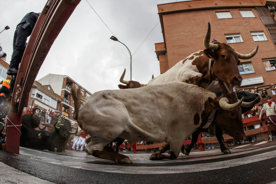 Un muerto y dos adultos y una niña heridos tras escaparse un toro de un encierro