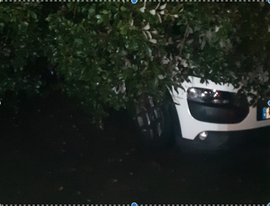 Los Bomberos de Betanzos retiran un árbol caído sobre un coche en Sada