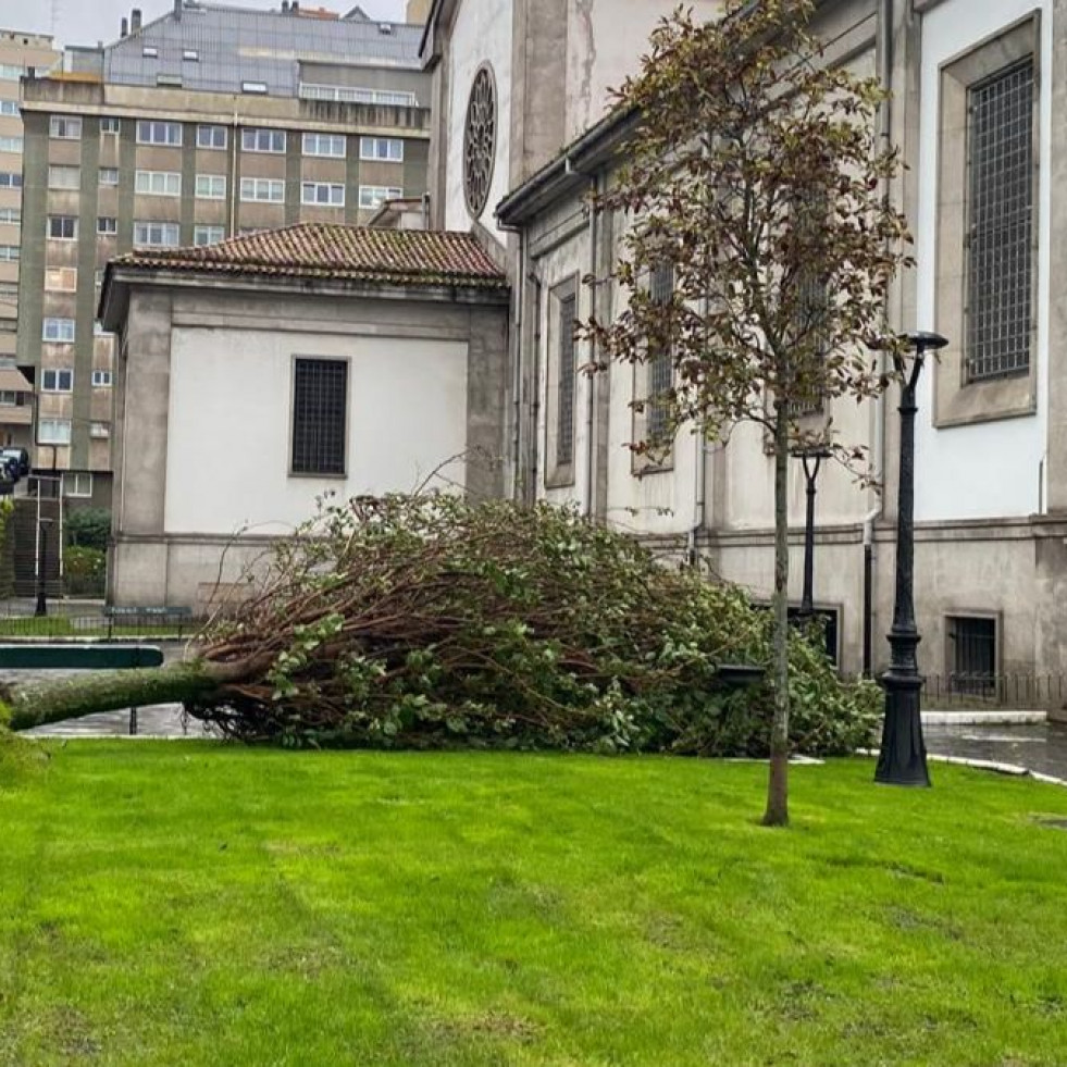 Grandes retenciones y árboles caídos,  efectos del paso de Kirk por A Coruña