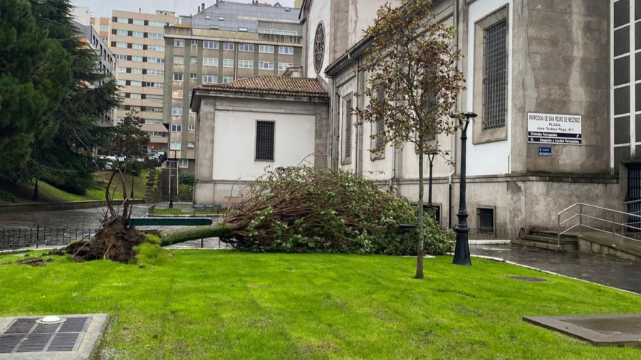 Grandes retenciones y árboles caídos,  efectos del paso de Kirk por A Coruña