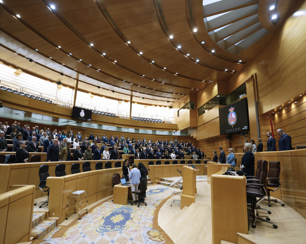 MADRID, 08/10/2024.- Los senadores guardan un minuto de silencio por la última víctima de violencia machista al inicio de la sesión plenaria del Senado este martes en Madrid. EFE/ Javier Lizón