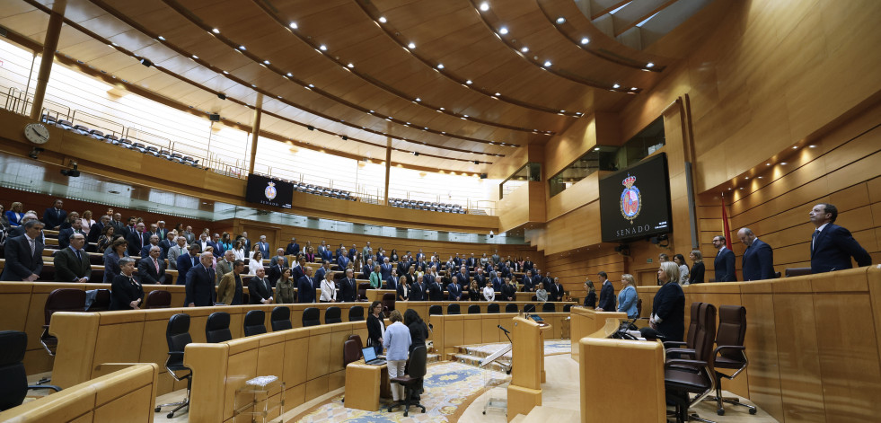 El Senado estudiará la argumentación del Congreso contra su veto a la ley de antecedentes penales