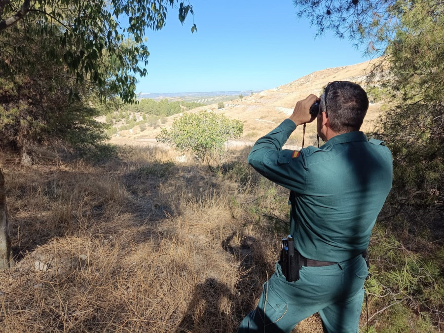 Hallados dos cuerpos sin vida entre los restos de la avioneta desaparecida en la Sierra de Segura