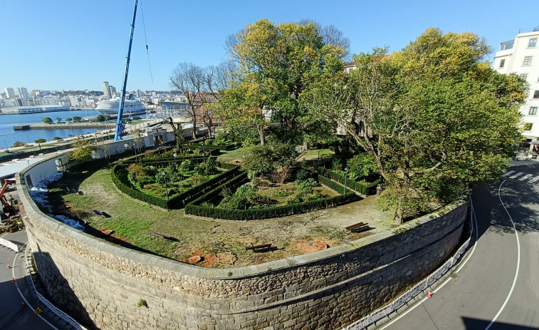 A Coruña sigue despidiéndose de los centenarios olmos de San Carlos