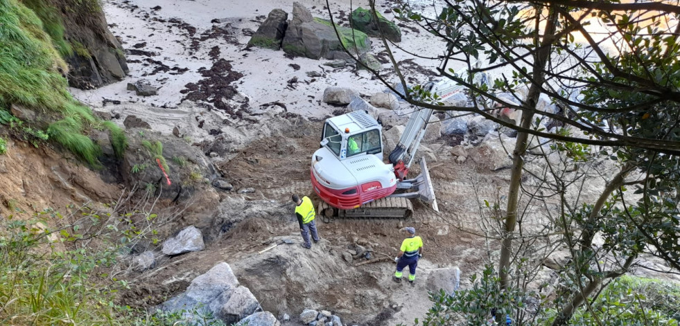 Usuarios del paseo marítimo de Santa Cruz temen el desplome de más árboles