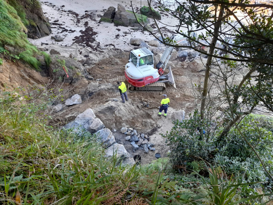 Usuarios del paseo marítimo de Santa Cruz temen el desplome de más árboles