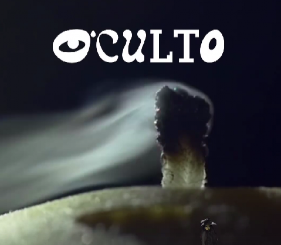 Fiesta especial de Halloween en O'Culto, el nuevo espacio gastronómico de A Coruña