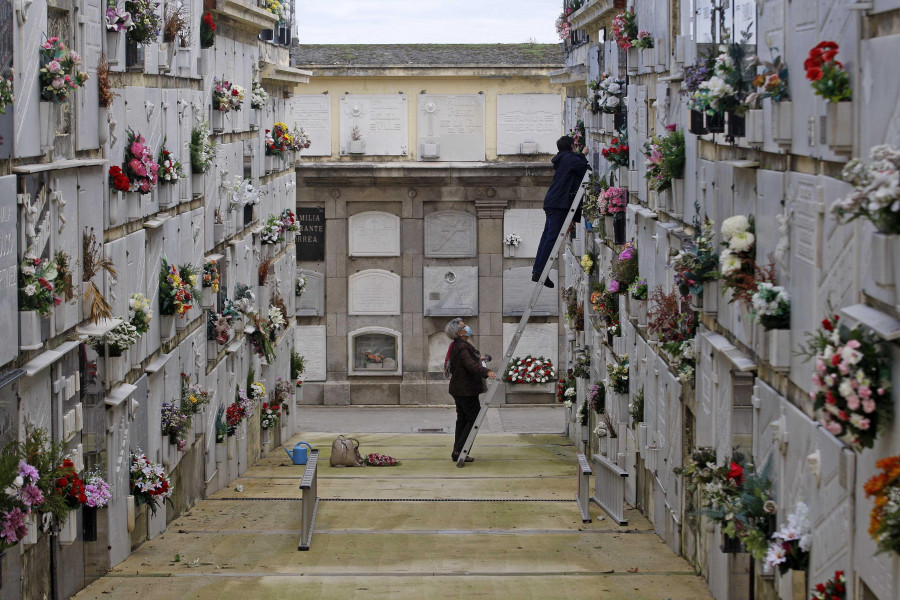 Las flores que adornarán los cementerios de A Coruña y su área en Difuntos y Todos los Santos