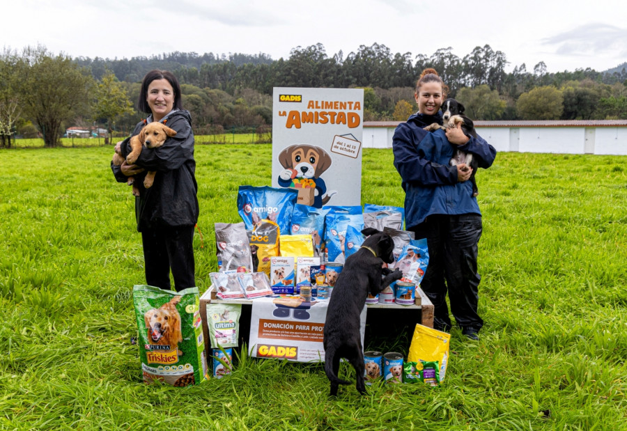 Gadis distribuye más de 80.000 kilos de productos entre 72 protectoras de animales