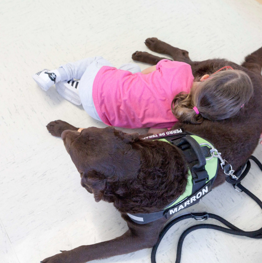 La Fundación María José Jove pone en marcha un programa de ocio con perros de terapia para menores hospitalizados