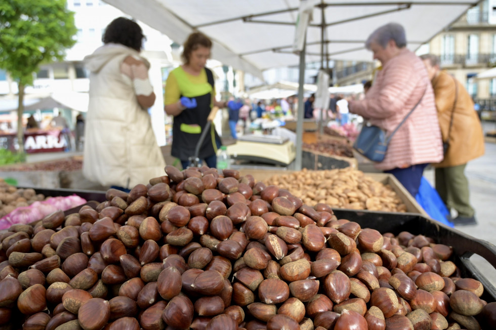 Los betanceiros no faltaron a su cita con la feria del Día de Todos los Santos @Javier Alborés (28)