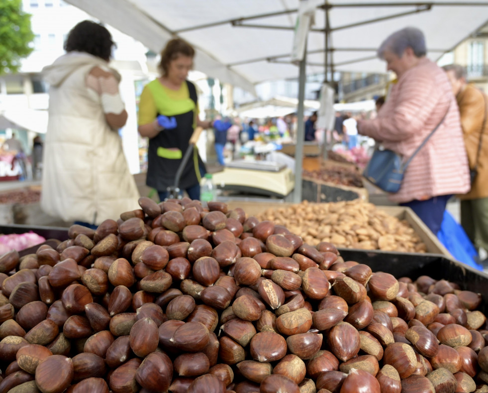 Los betanceiros no faltaron a su cita con la feria del Día de Todos los Santos @Javier Alborés (28)