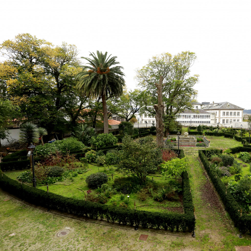 La panorámica del jardín de San Carlos cede belleza tras la retirada de 13 olmos enfermos