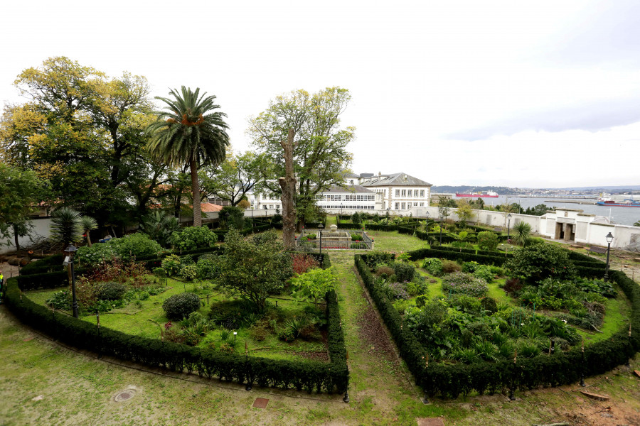 La panorámica del jardín de San Carlos cede belleza tras la retirada de 13 olmos enfermos