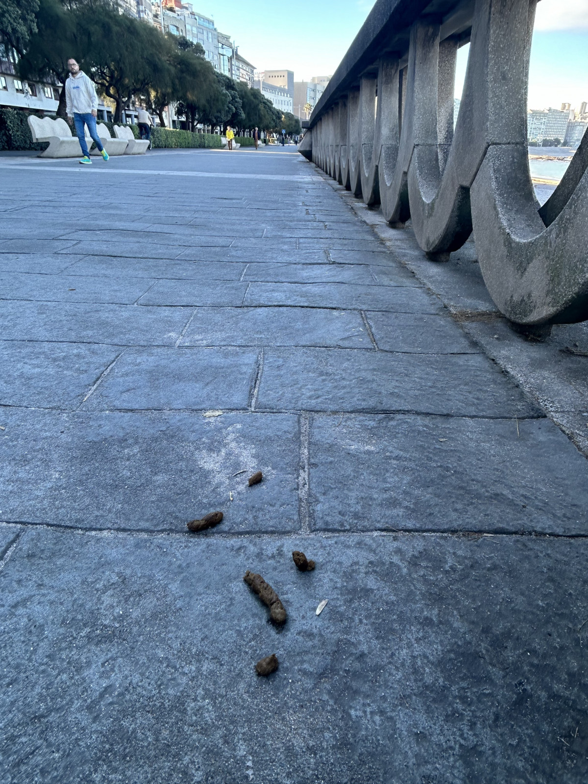 Heces en el Paseo Marítimo de A Coruña (1)