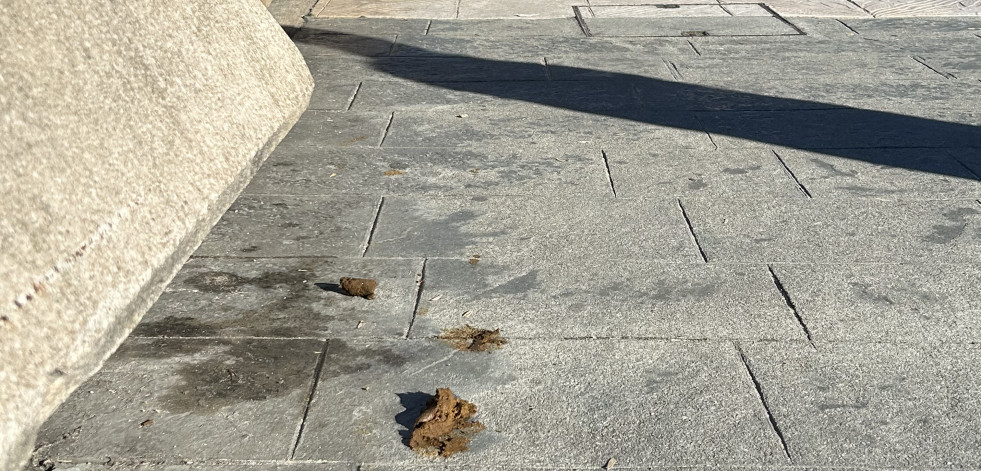 Alerta 'marrón' en el Paseo Marítimo de A Coruña