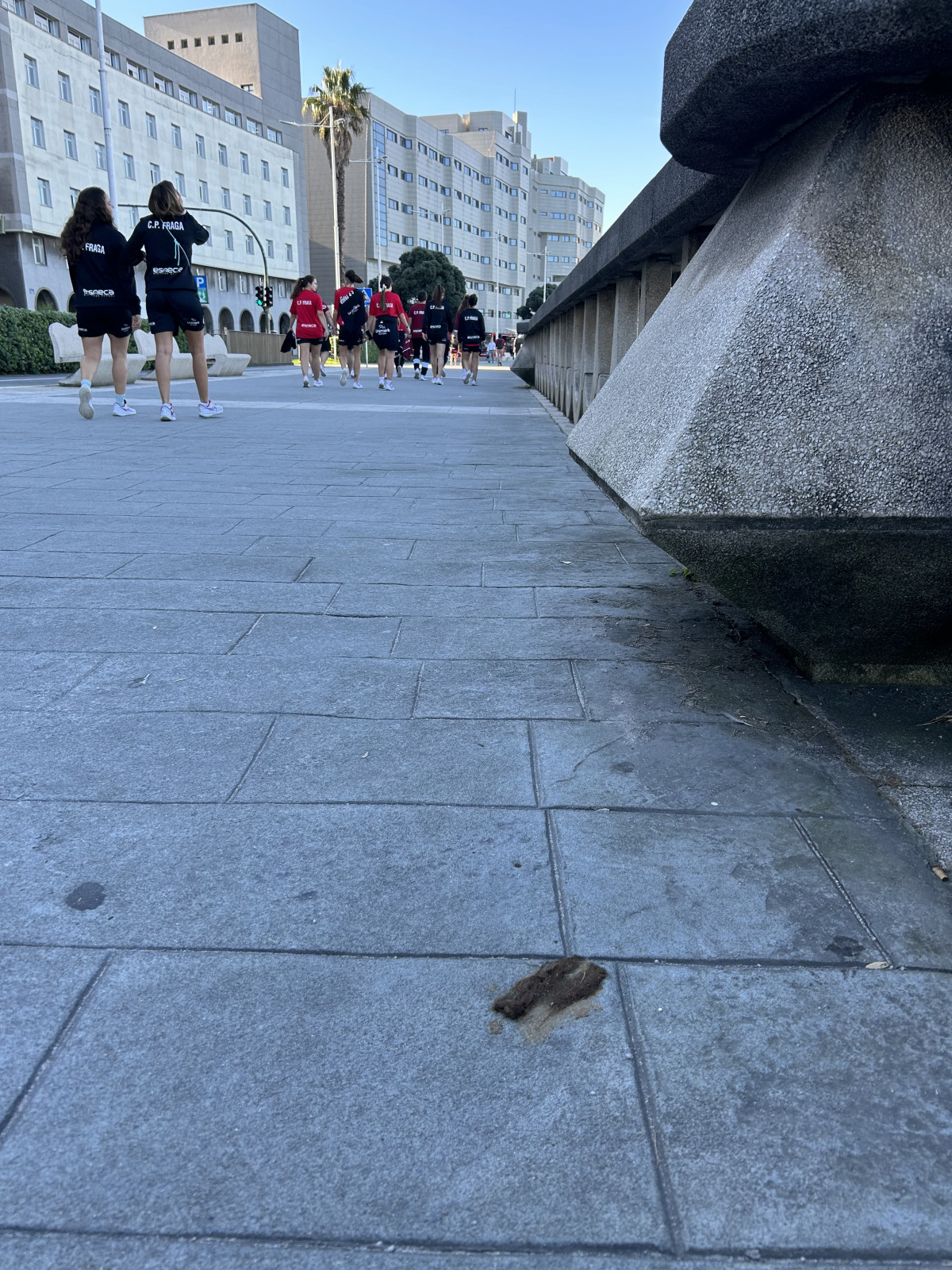 Heces en el Paseo Marítimo de A Coruña (4)