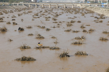 FOTODELDÍA VALENCIA, 05/11/2024.- Miembros de la UME y de los bomberos trabajan este martes en la búsqueda de víctimas mortales a causa de las inundaciones de la Dana en el cauce del río Turia en 