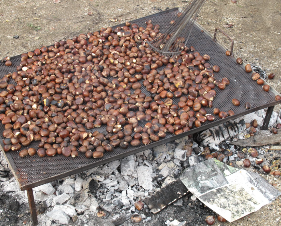 Magosto en Galicia