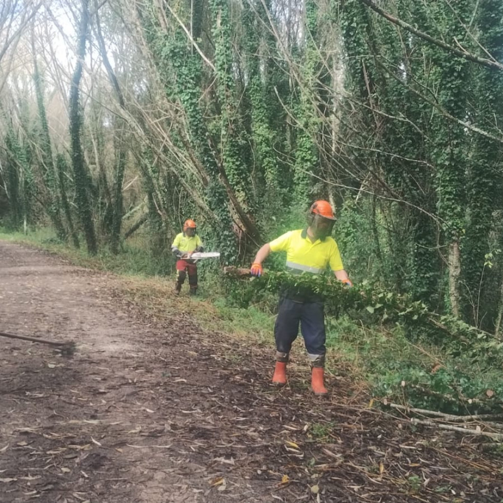 Retiran árboles caídos de 10 kilómetros del río Mero, en Cambre, para evitar atascos