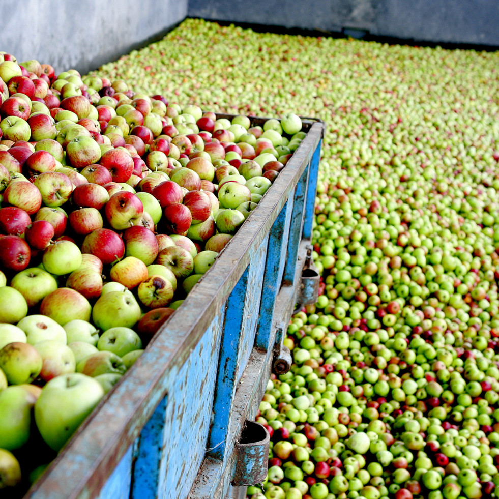 Maeloc y su apuesta por la manzana ecológica y el apoyo a los cultivadores locales