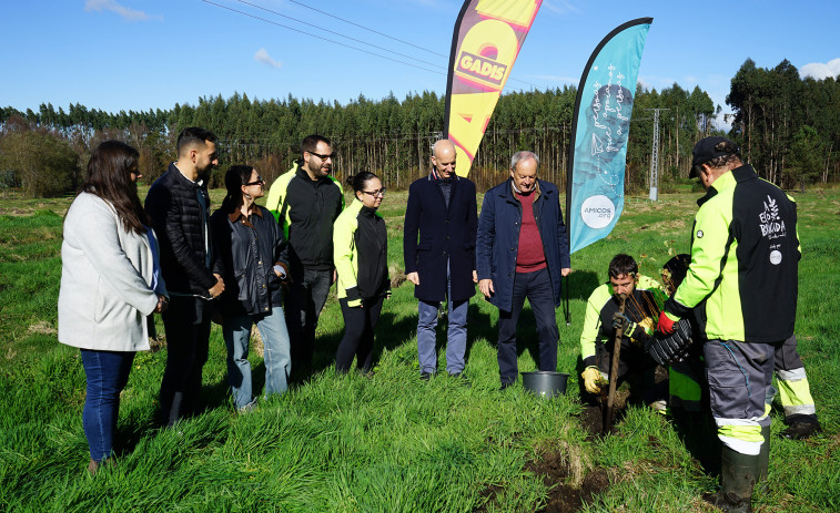 Gadis y Amicos reforestan un bosque con 300 árboles autóctonos