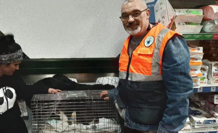 Aparece la gata desaparecida en Carral