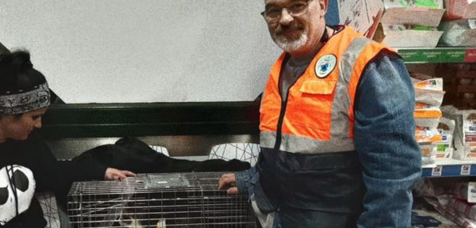 Aparece la gata desaparecida en Carral