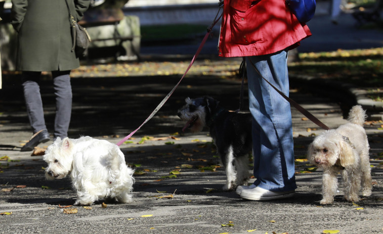 El 092 usará agentes de paisano para multar por las heces de los perros