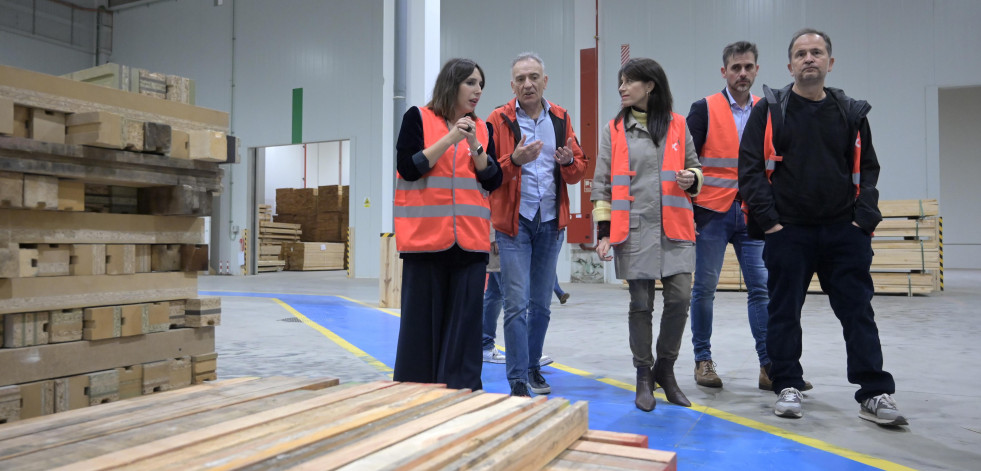 La Xunta primará el pino gallego en la construcción de edificios públicos