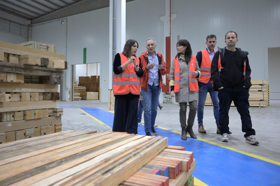 La Xunta primará el pino gallego en la construcción de edificios públicos