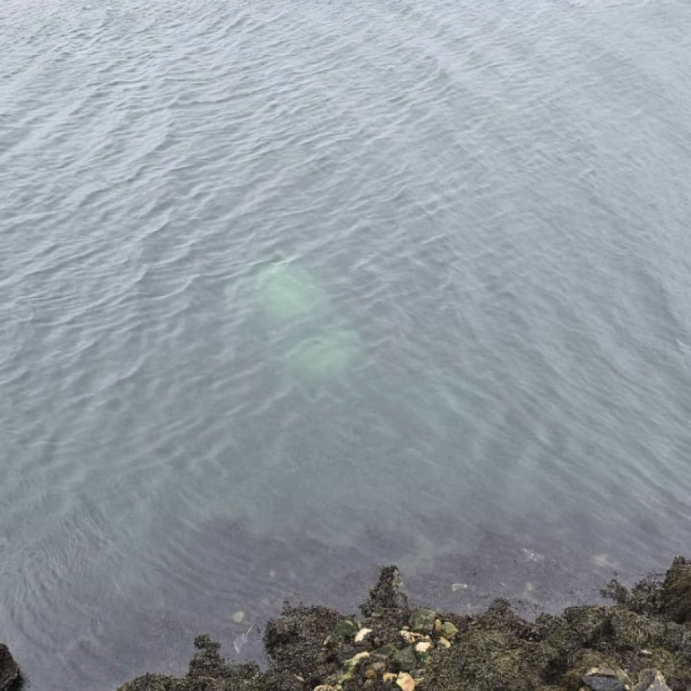 Un vehículo cae a la ría tras salirse de la calzada en As Pías