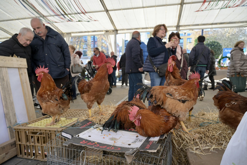 Feira galo arteixo