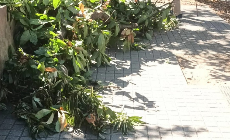 'Selviña': el barrio de A Coruña donde los brotes verdes no generan felicidad