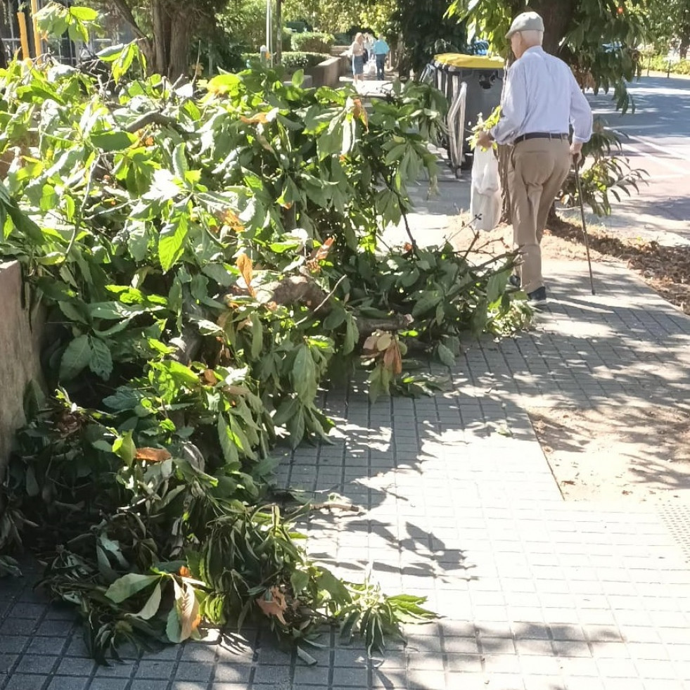 'Selviña': el barrio de A Coruña donde los brotes verdes no generan felicidad