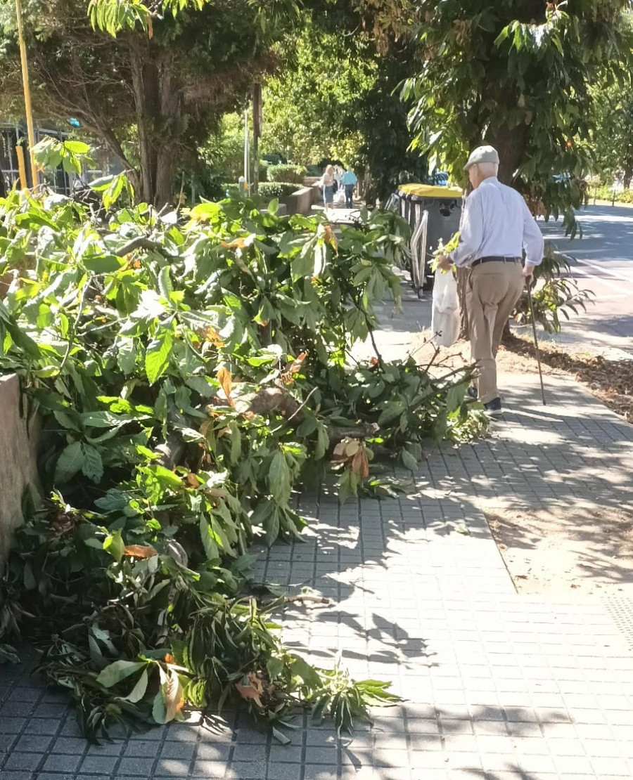 'Selviña': el barrio de A Coruña donde los brotes verdes no generan felicidad