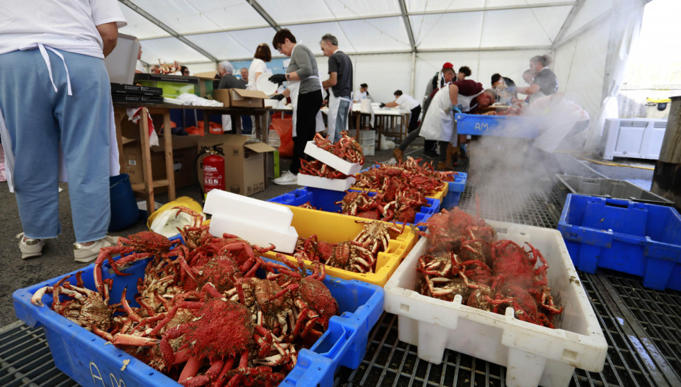 La Cofradía de Pescadores de Lorbé celebró una nueva edición de la Festa da Centola. Unos 1.200 ejemplares despachados, y otros  (1)