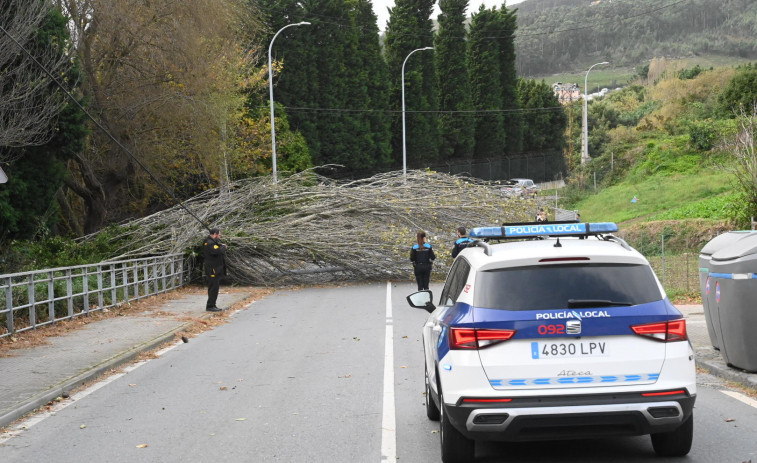 La caída de un árbol corta la carretera de Bens