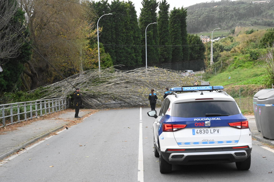 La caída de un árbol corta la carretera de Bens