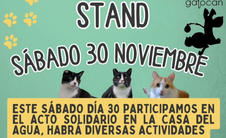 Gatocan participa en un acto solidario en la Casa del Agua